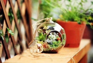 Transparent hand-blown glass vase container with flat bottom and hanging capability in four sizes