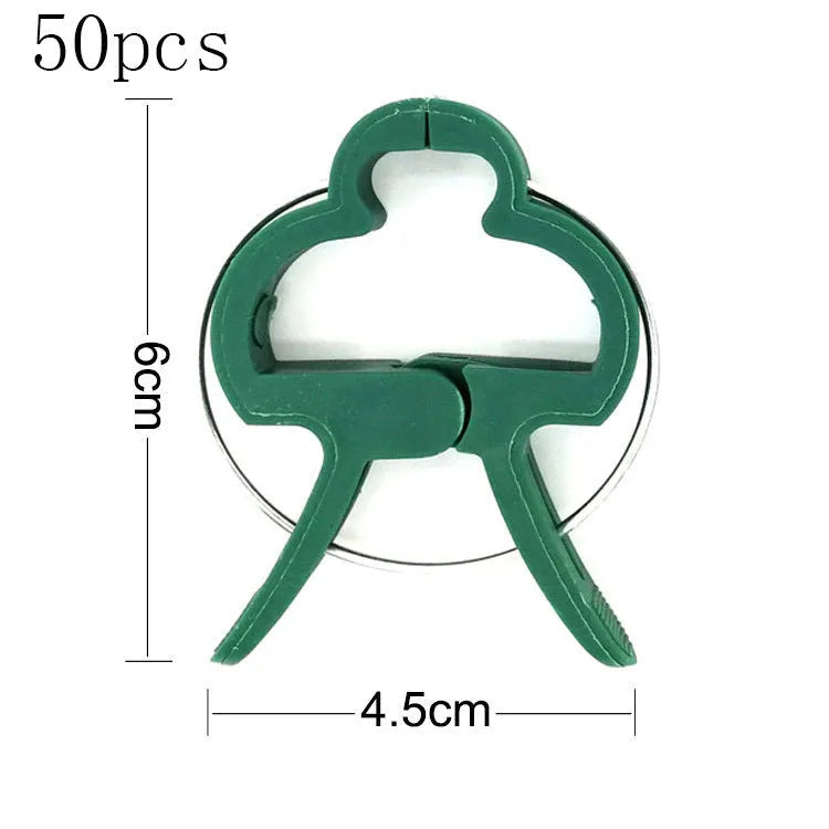 Green plastic plant fixing clips, large and small sizes, holding a tomato stem to a garden cane.