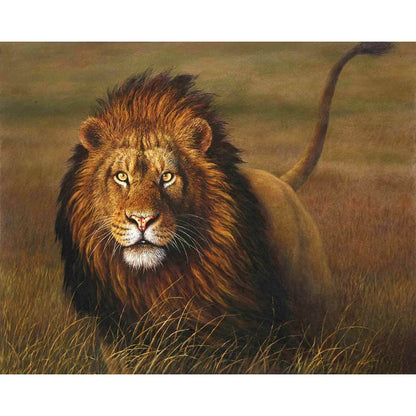 Frameless digital oil painting of a majestic lion, designed for a DIY home decor project with premium materials and supplies