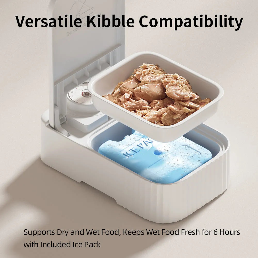 White programmable pet single meal feeder with timer display, ice crystal box, and modular splash-proof design.