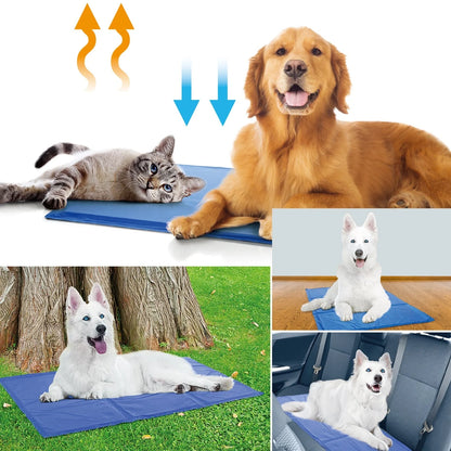 Blue dog cooling mat with pressure-activated ice crystal technology for summer comfort