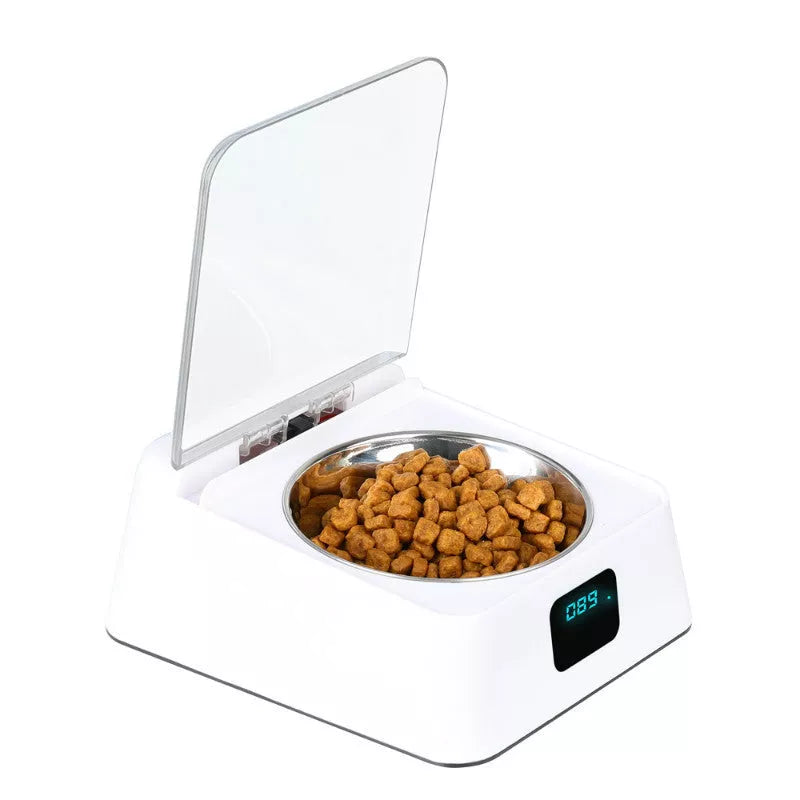 White automatic pet feeder with moisture and pest protection features