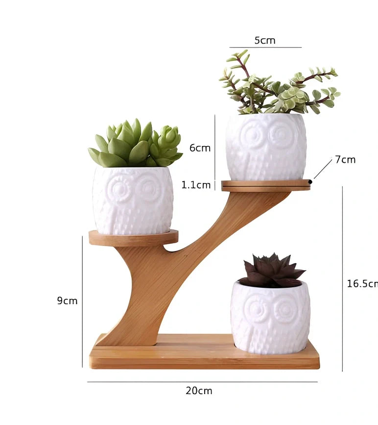 Three white ceramic owl planters on 45cm bamboo tree frame for succulents, corrosion-resistant modular display