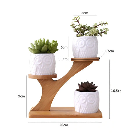 Three white ceramic owl planters on 45cm bamboo tree frame for succulents, corrosion-resistant modular display