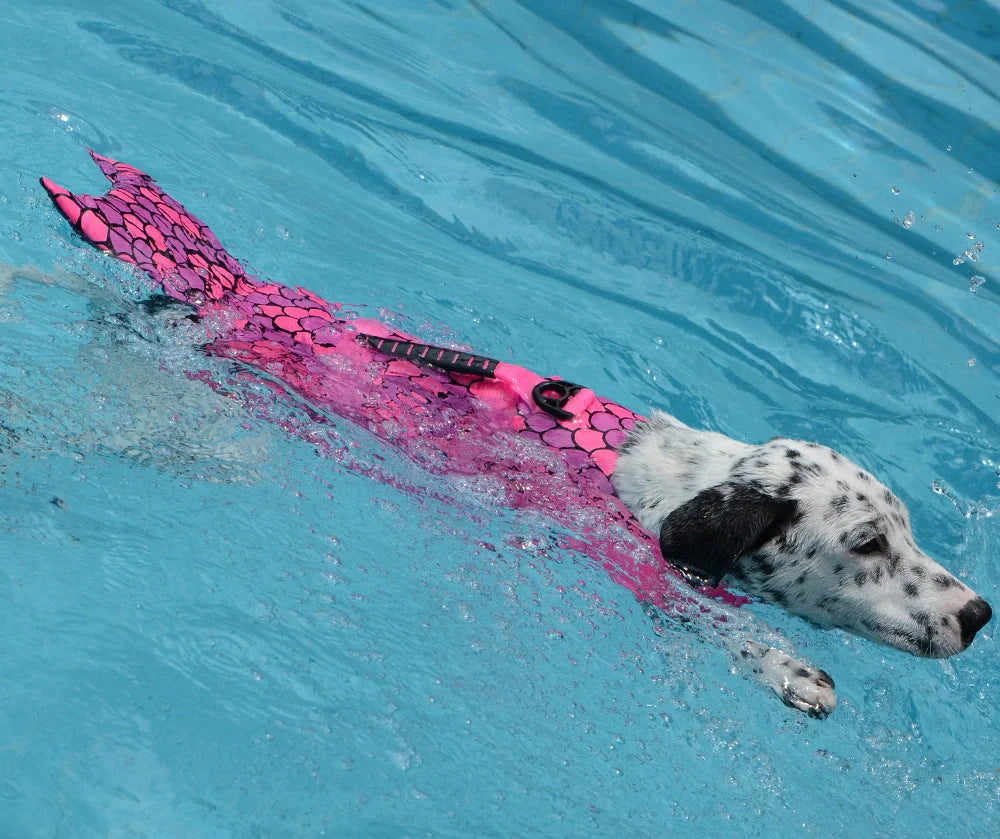 Adjustable mermaid shark design dog life vest for swimming safety and style