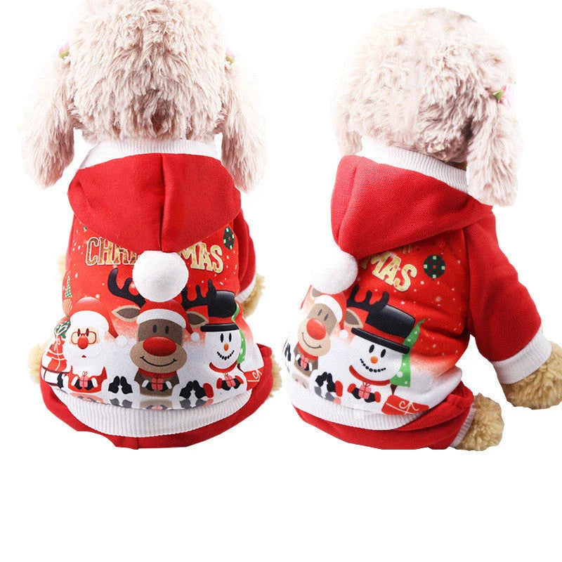 Cozy Canine Couture: Premium pet clothing collection featuring stylish and comfortable designs for your furry friend