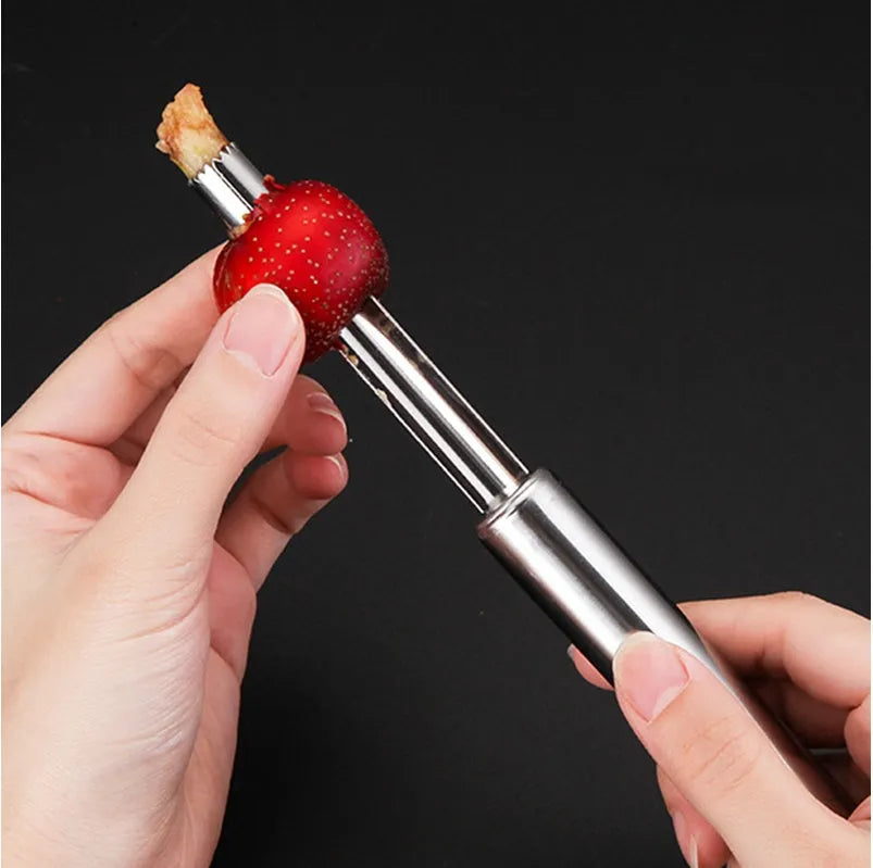 Stainless steel pineapple corer slicer kitchen tool with coloured ABS handle