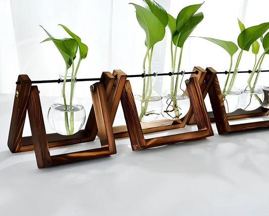 Glass tabletop plant with LED lighting showing colour-changing effects in tempered glass enclosure