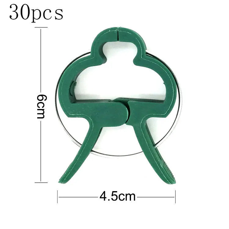 Green plastic plant fixing clips, large and small sizes, holding a tomato stem to a garden cane.
