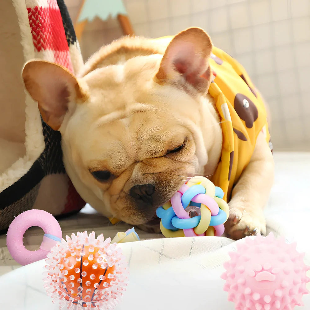 Non-toxic rubber dog chew toys in star, ring and ball shapes with textured cleaning surface