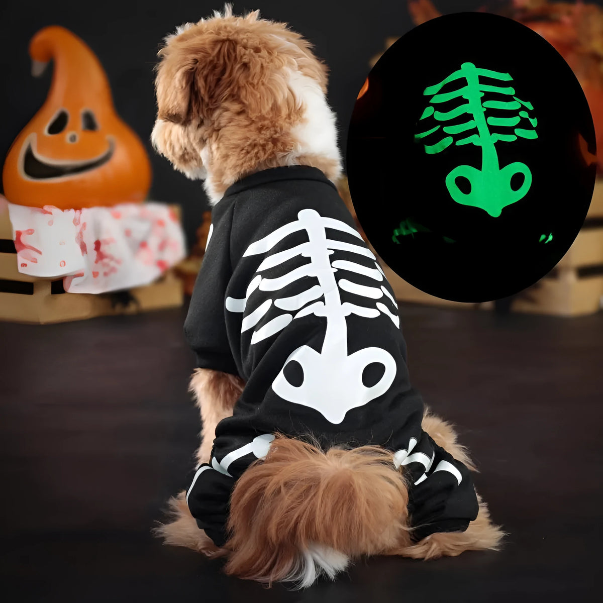 Halloween luminous skeleton bones four-legged pet costume for dog or cat in milk silk or sweater fabric.