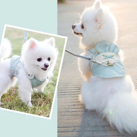 Durable and breathable small dog harness and leash set in various colors and sizes