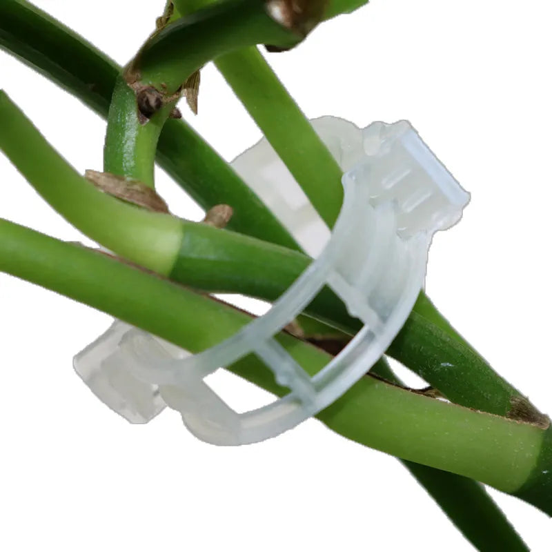 Plastic tomato grafting clips in assorted colours for plant support