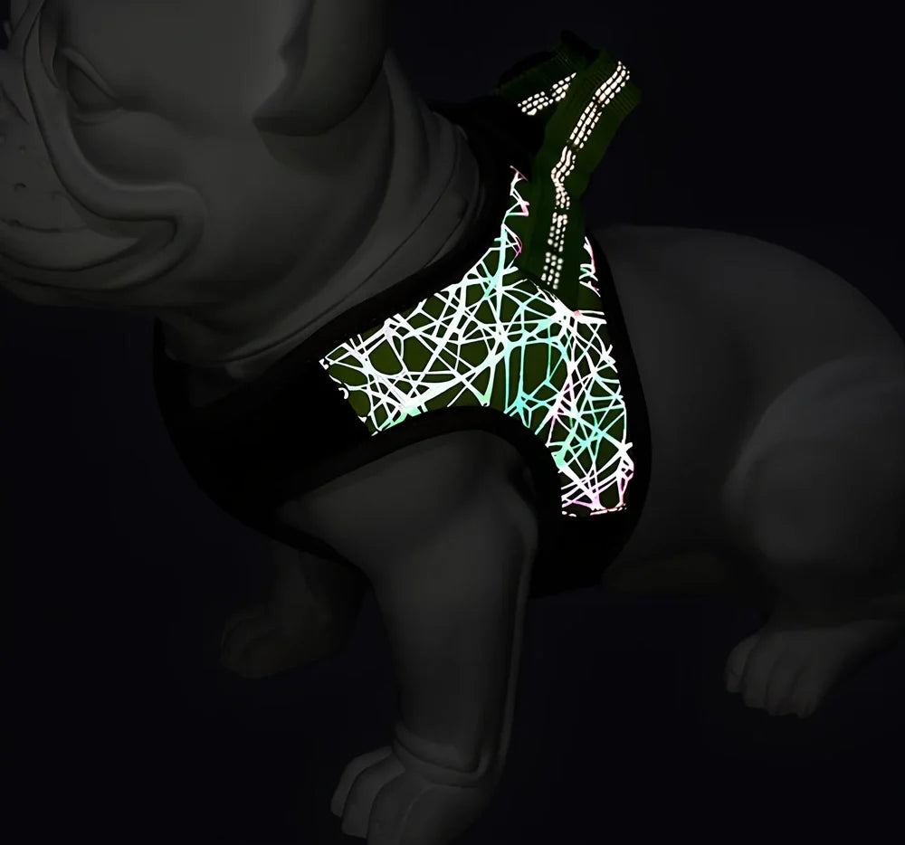 Polyester dog harness with adjustable chest strap in black colour showing buckle fastening system