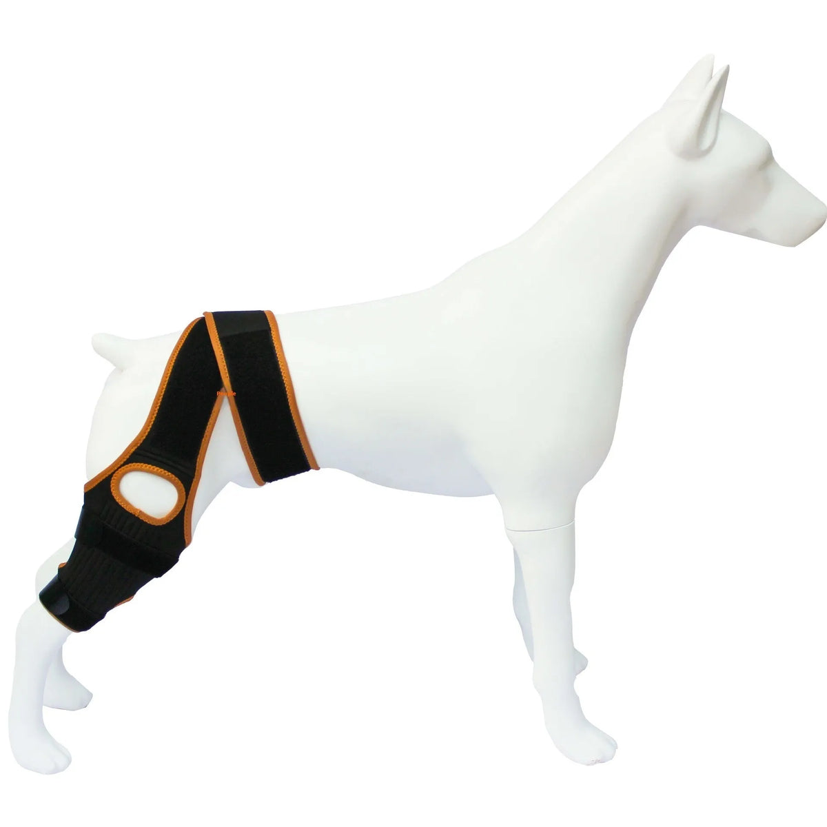 Neoprene dog hind leg knee brace assist strap in collar black colour with adjustable closure.