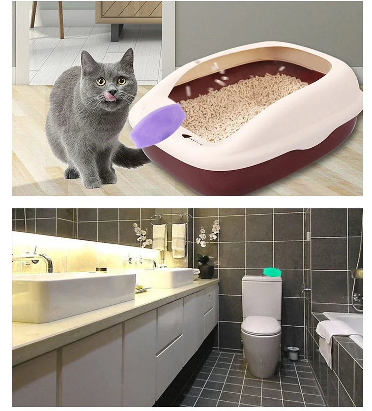 Deodorant Wizard pet deodorant tablets in mango, lavender, and qingxin scents