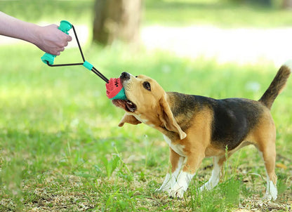 Pet toy set with 8.5cm training ball, 12cm molar stick and pull rope for dog play.