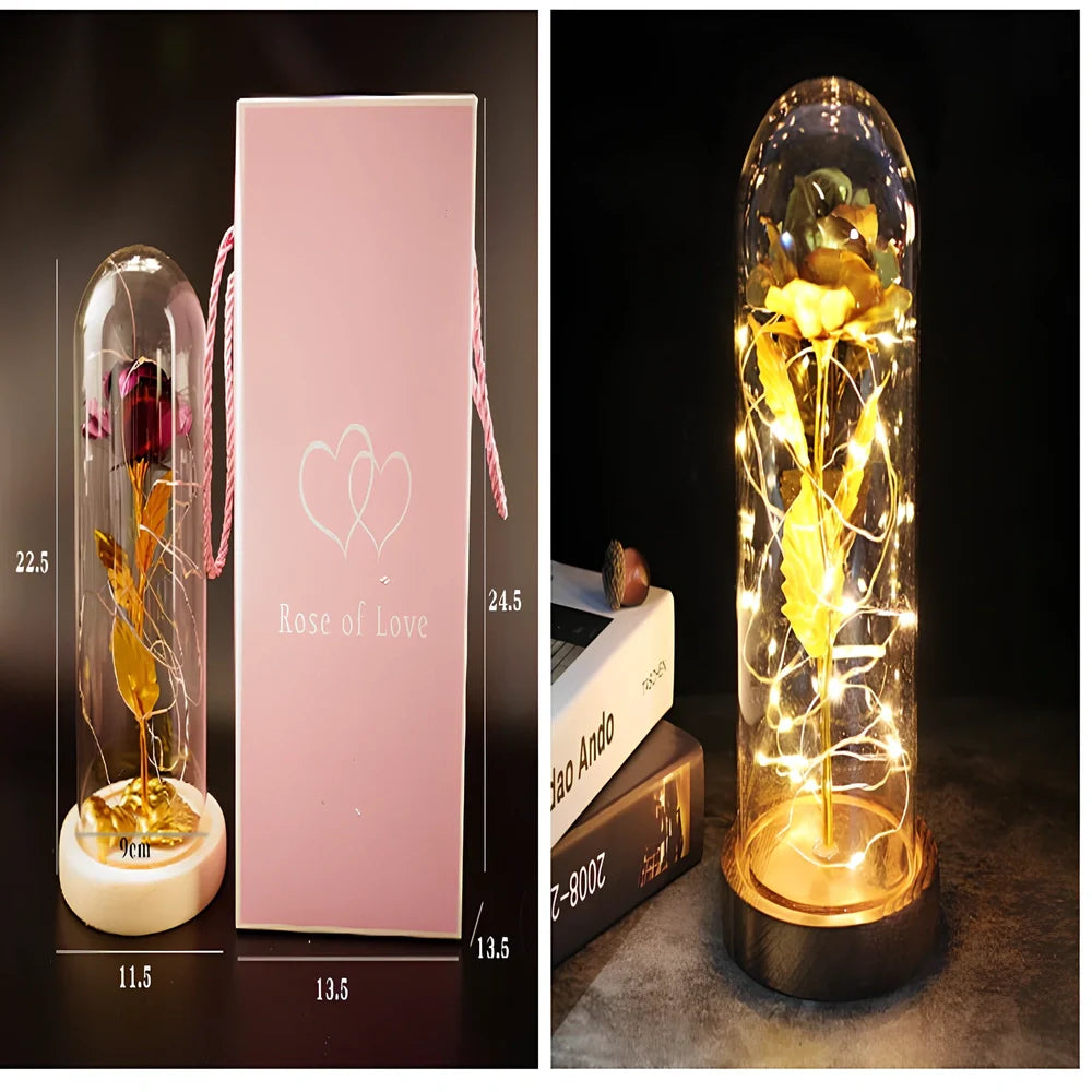 Little Prince rose arrangement under 20x9cm glass dome with gold foil flowers