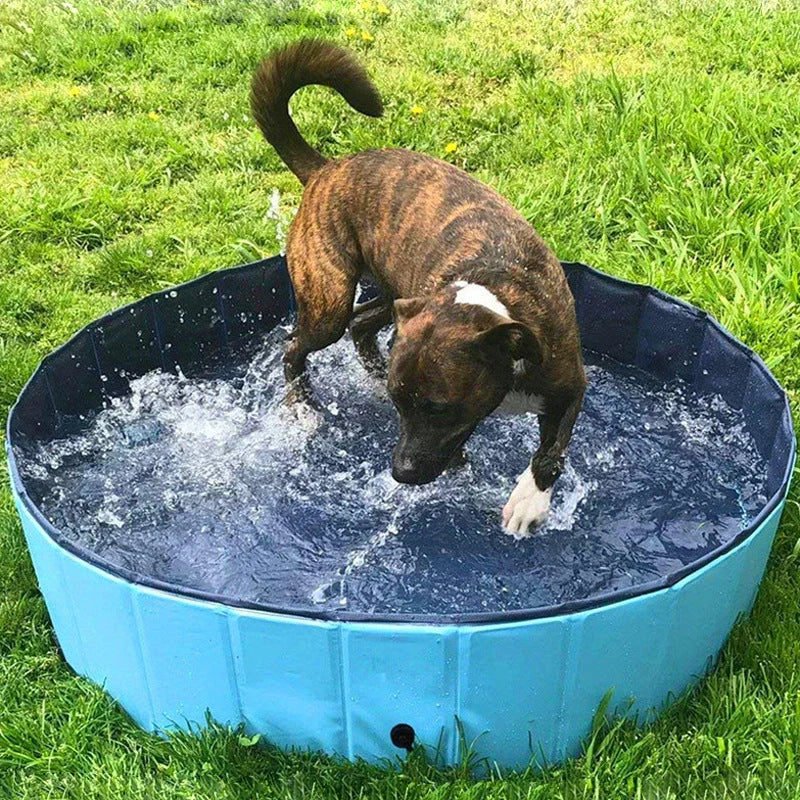 Collapsible dog pool with drain for easy water removal, available in blue water pattern and red sea wave designs
