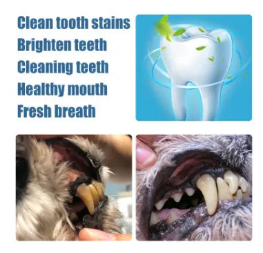 Pet teeth whitening pen with dental brushes for dog and cat tartar removal