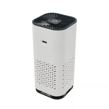Compact air purifier with advanced negative ion technology, removing dust, pollen, and odors for a fresh, clean indoor environment