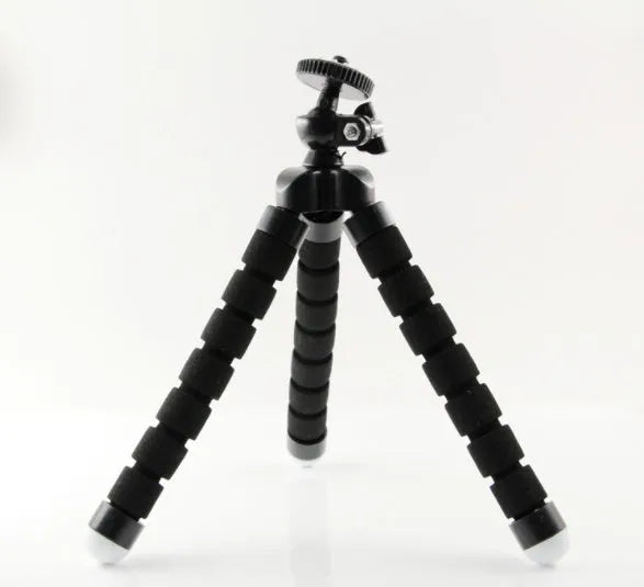 Black flexible octopus tripod stand wrapped around a branch holding a smartphone for angled video capture