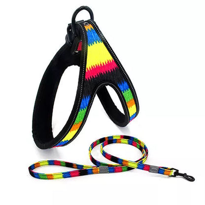 Adjustable reflective dog leash for small and medium dogs in various colors