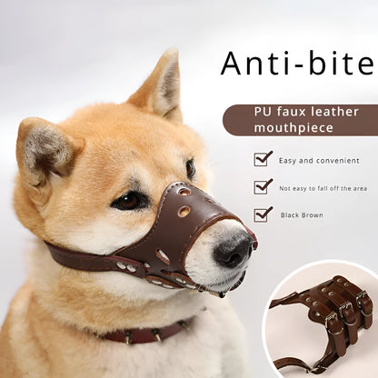 Black dog muzzle silencer for anti-barking and bite prevention on a medium-sized dog