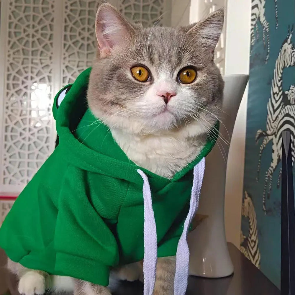 Green frog costume hoodie for a small dog, showing hood with ears and sweatshirt body.