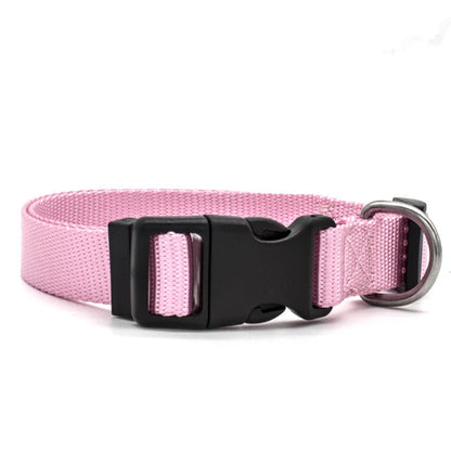 Adjustable nylon pet collar for cats and dogs with neoprene lining, available in multiple colors and sizes