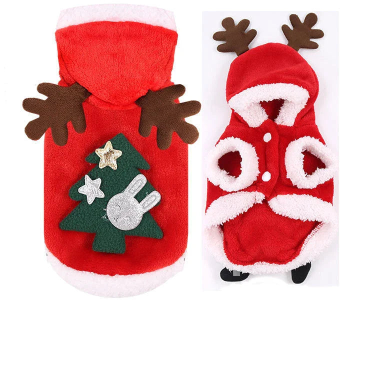 Cozy Canine Couture: Premium pet clothing collection featuring stylish and comfortable designs for your furry friend