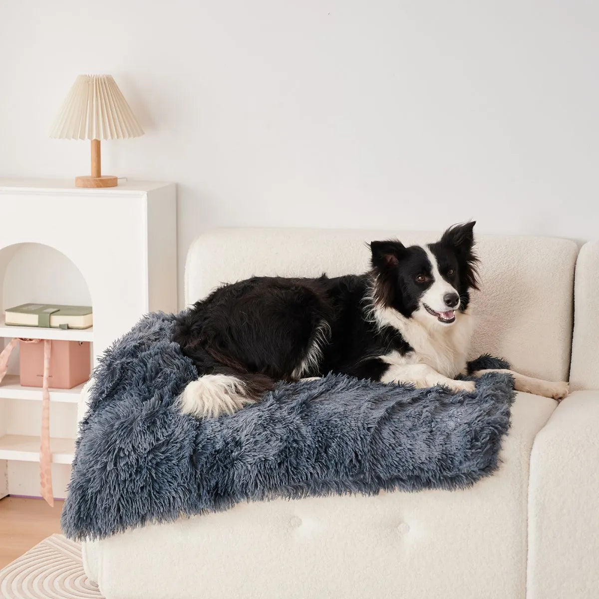 Light grey velvet pet blanket draped over a sofa next to a sleeping dog