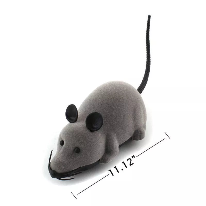 Remote control animal toy set including mouse, spider, and lizard for kids' educational play