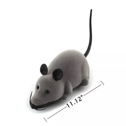 Remote control animal toy set including mouse, spider, and lizard for kids' educational play
