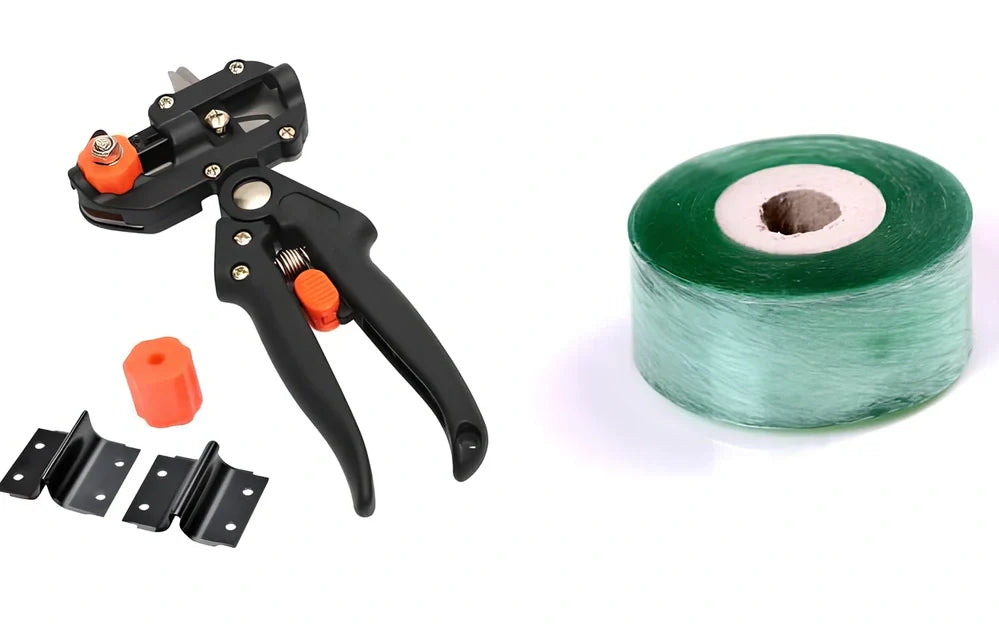 12-piece card and cloth bag collection with 2cm width, multiple styles, orange and red options