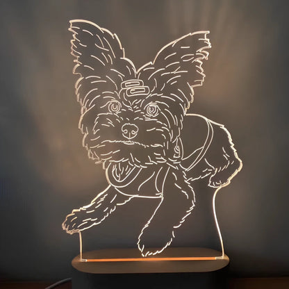 Custom 3D stereo night light displaying personalised portrait with LED illumination through acrylic casing