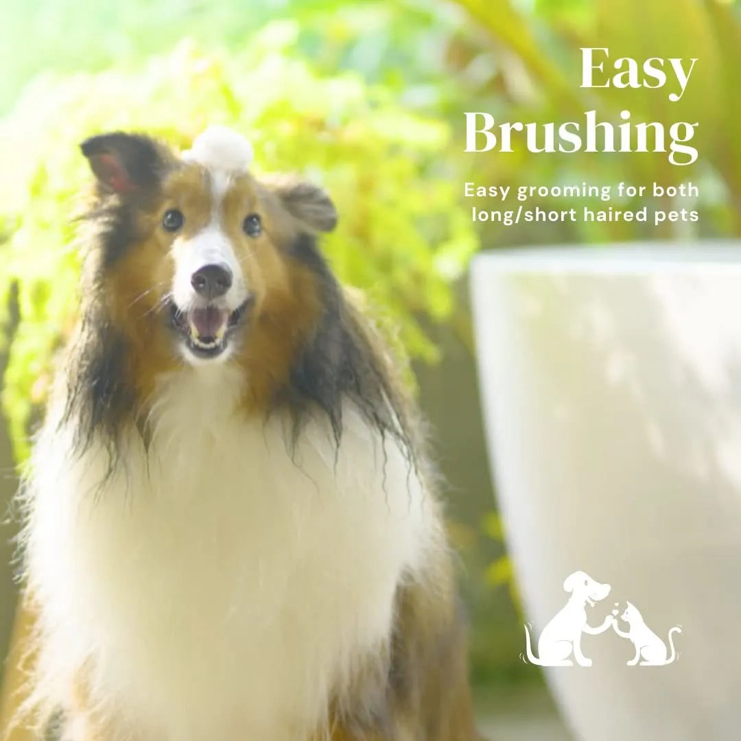 Blue self-cleaning pet grooming brush with stainless steel pins and ergonomic rubber handle on a grey background