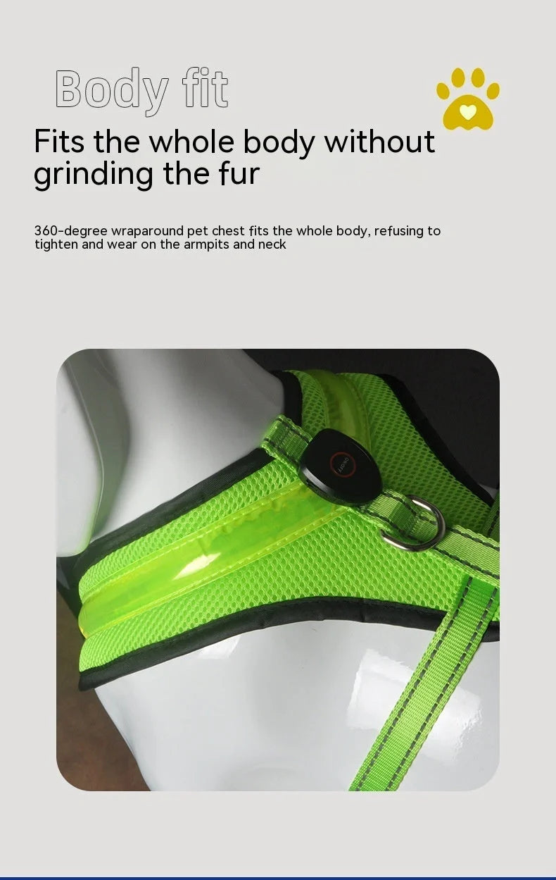 USB rechargeable LED dog harness in blue, red, or green with reflective safety features