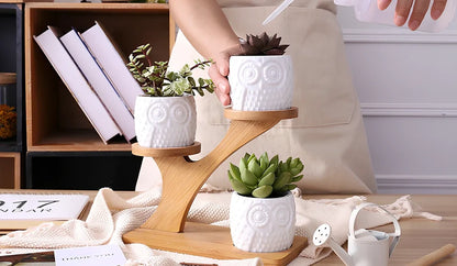 Three white ceramic owl planters on 45cm bamboo tree frame for succulents, corrosion-resistant modular display