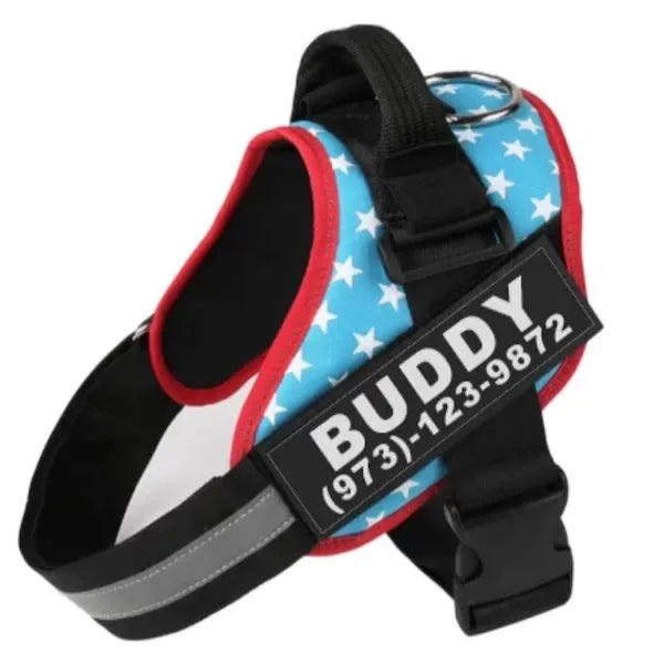 A reflective adjustable no-pull dog harness in nylon, shown on a dog, with a sturdy handle and D-ring for leash attachment.