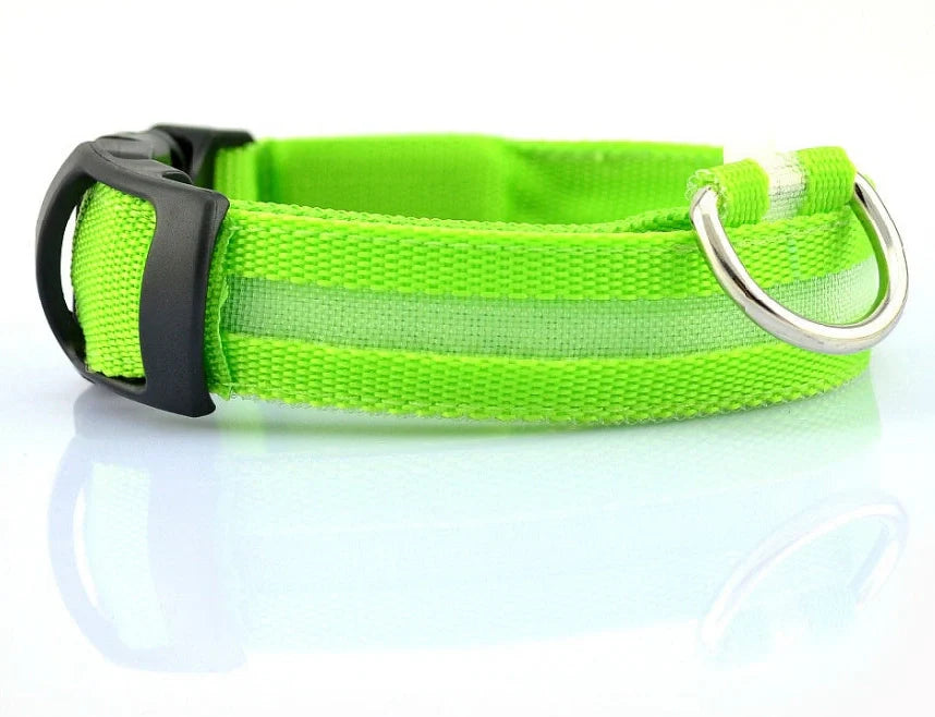 Nylon LED dog safety collar with illuminated fibre optic lights in blue colour, adjustable buckle, and waterproof construction