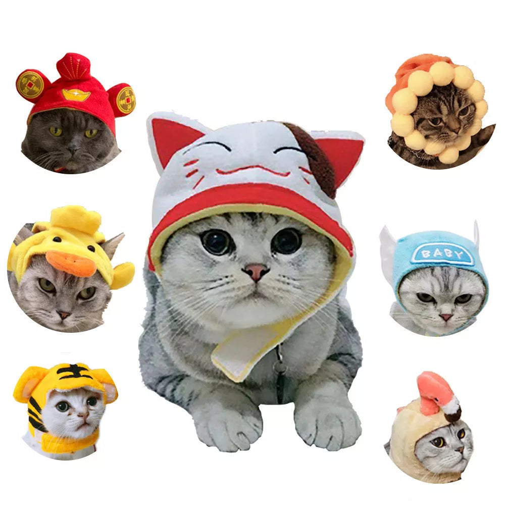 Cartoon-themed pet hat for cats with unique embroidery detailing