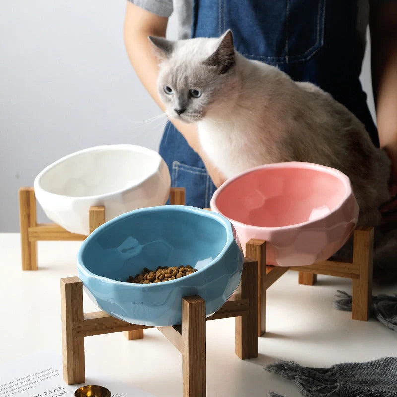 Oblique mouth pet bowl set in white, blue, and pink for cats and dogs