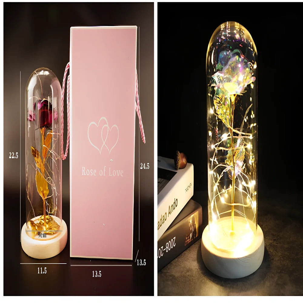Little Prince rose arrangement under 20x9cm glass dome with gold foil flowers