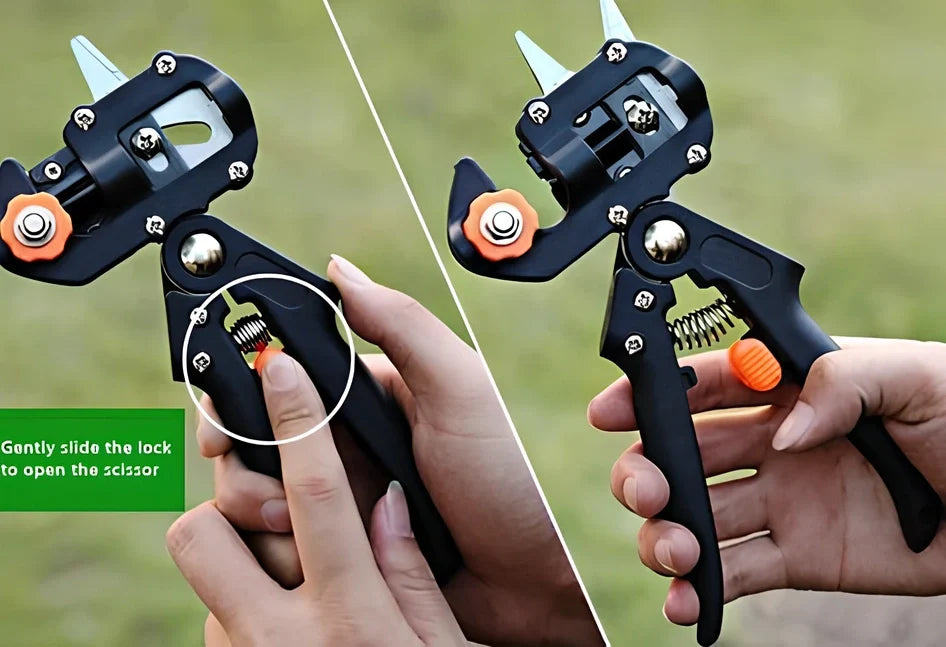 12-piece card and cloth bag collection with 2cm width, multiple styles, orange and red options