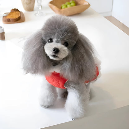 Red Chinese-style dog jacket with a white faux fur collar on a pet mannequin