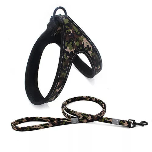 Adjustable reflective dog leash for small and medium dogs in various colors