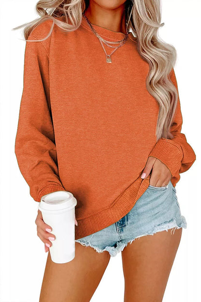 Solid color crew neck long sleeve hoodie in various colors for men and women