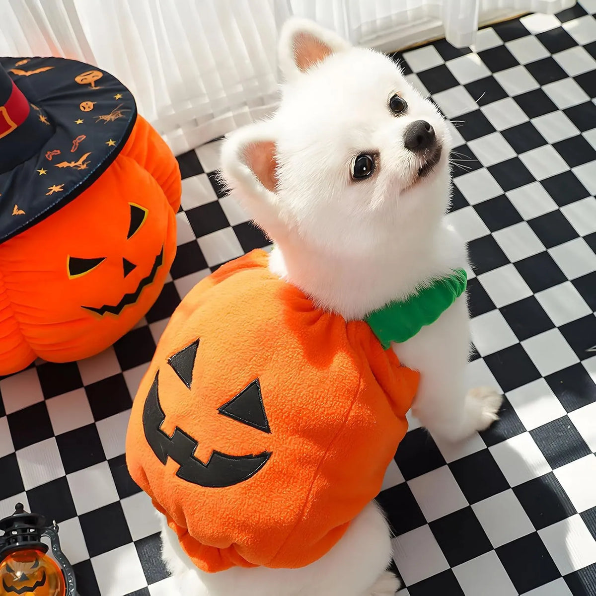 Orange pumpkin plush Halloween costume for a small dog showing pullover design and soft texture.