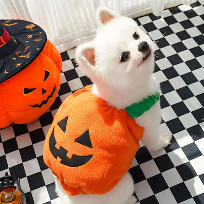 Orange pumpkin plush Halloween costume for a small dog showing pullover design and soft texture.